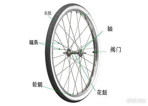从零开始是,组装一台属于自己的自行车 车架 车轮 踏板 辐条 网易订阅